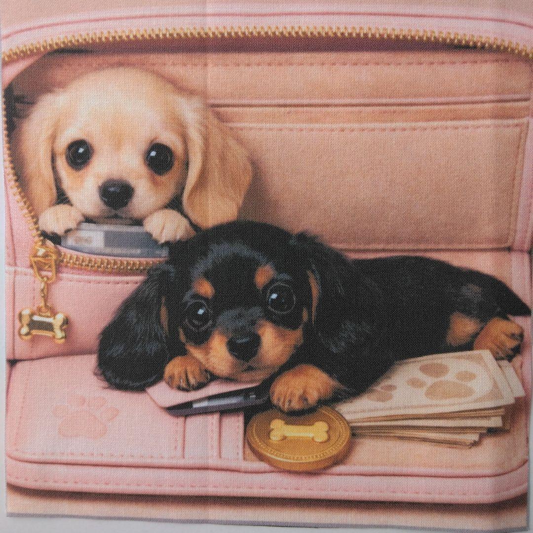 ☆受付☆ダックス №2