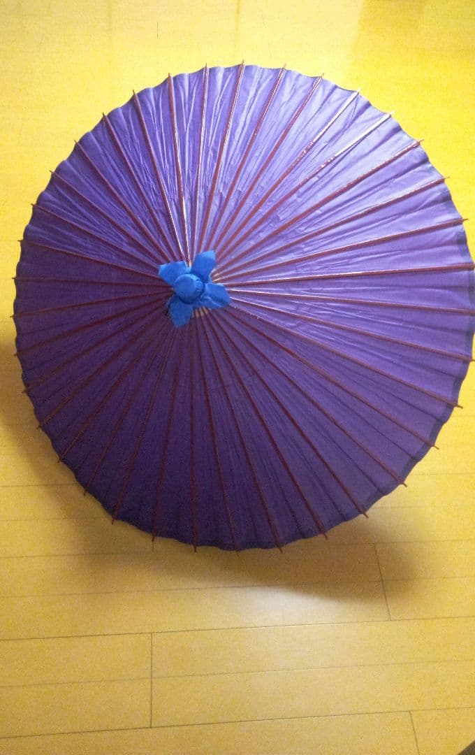 蛇の目傘、和傘