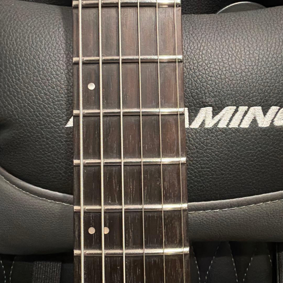 【大幅値下げ】Balaguer Guitars Diablo Standard