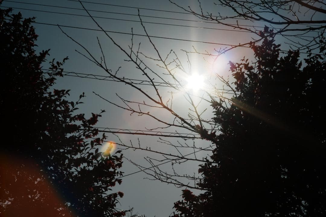 【整備＆テスト済】ミノルタ MD ROKKOR 85mm F1.7 833