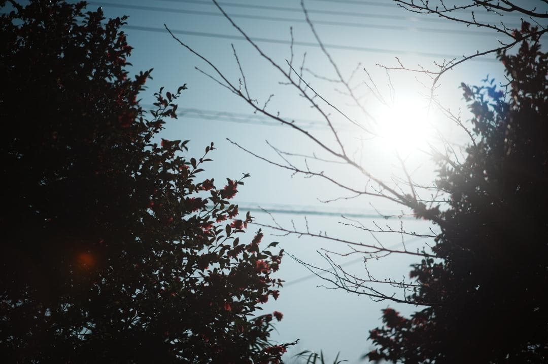 【整備＆テスト済】ミノルタ MD ROKKOR 85mm F1.7 833