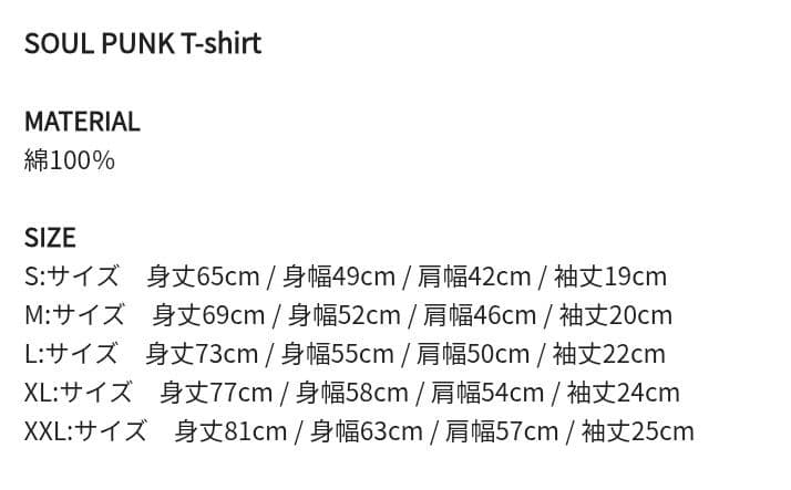 新品 Hi-STANDARD ハイスタ SNB Tシャツ ハイスタンダード②