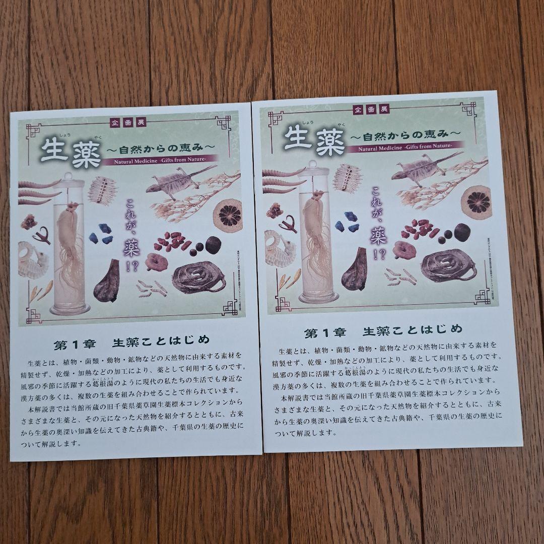 薬屋のひとりごと　千葉県立中央博物館　入場特典しおり