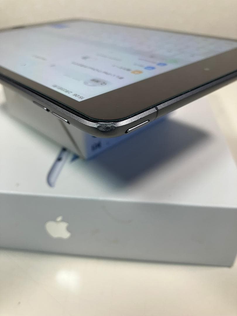 iPad mini5 グレー　64GB セルラー 中古品