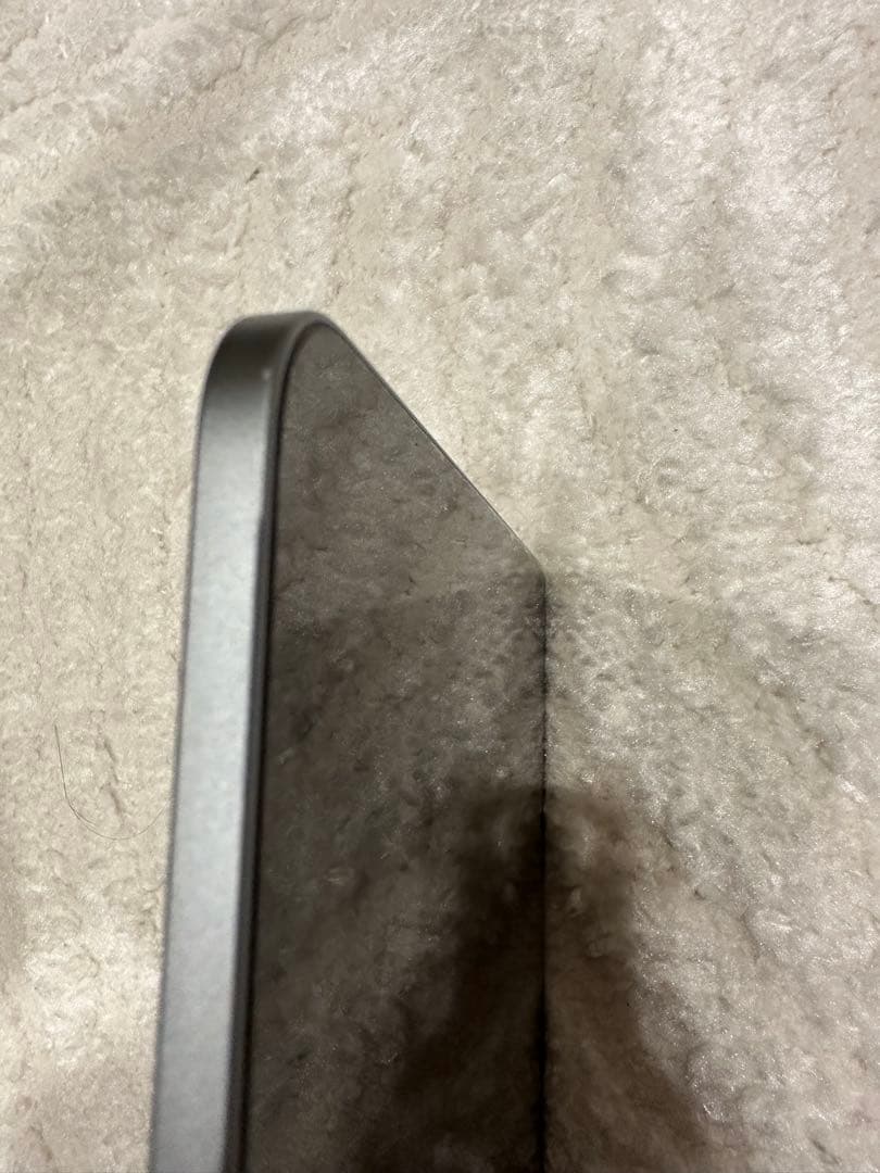 Apple iPad Pro 第３世代　256GB