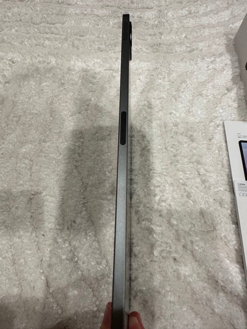 Apple iPad Pro 第３世代　256GB