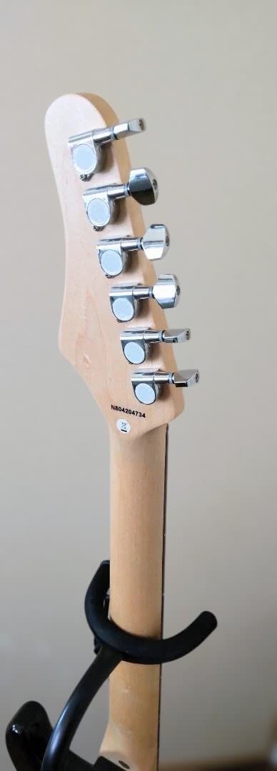 ストラトタイプ エレキギター Black