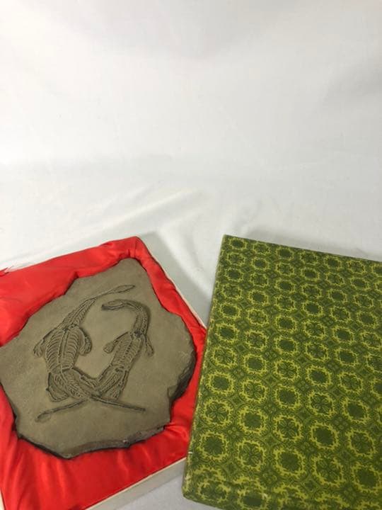 トカゲ　恐竜　化石　？