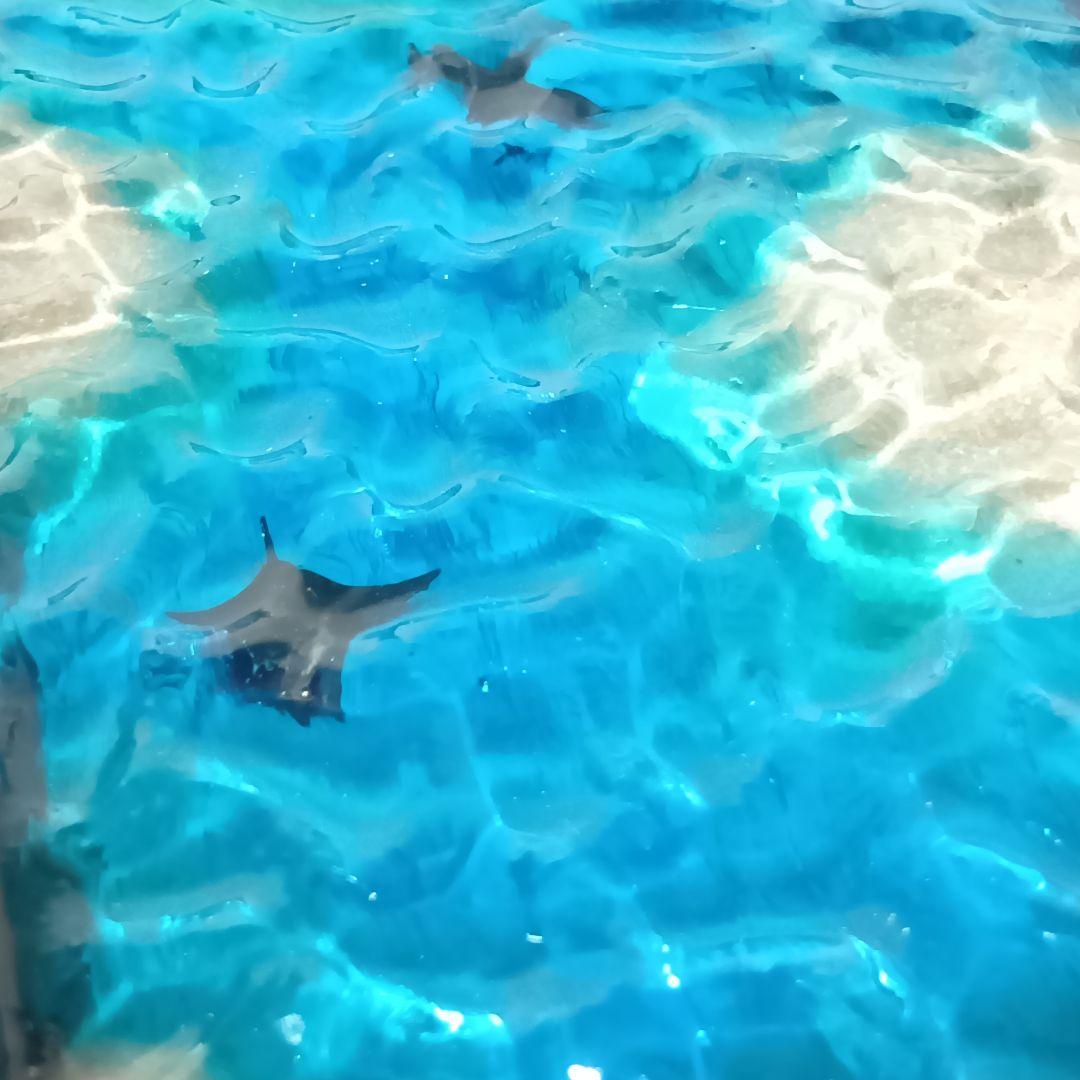 【1351】マンタが泳ぐ浅瀬の海　 立体オーシャンアートパネル　波紋アート　中