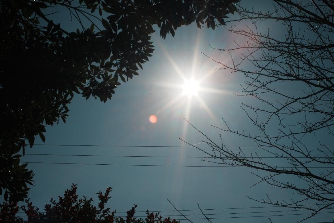【整備＆テスト済】SMC PENTAX 50mm F1.4 489