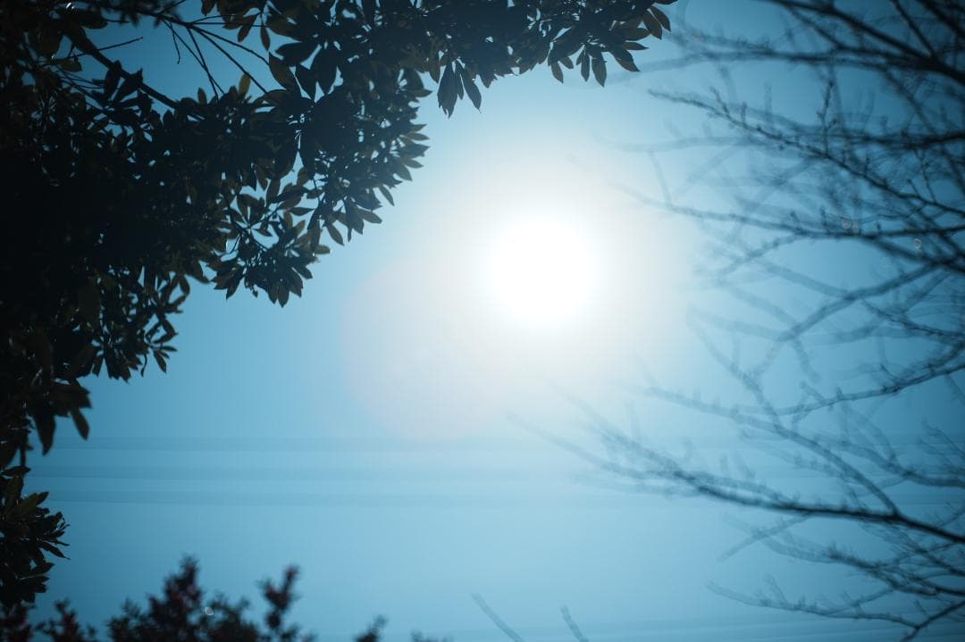 【整備＆テスト済】SMC PENTAX 50mm F1.4 489
