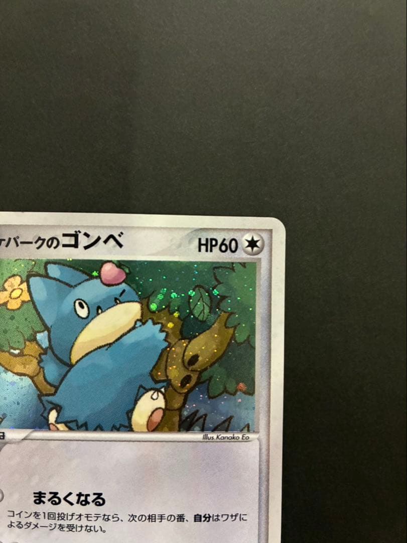 ポケモンカード ポケパークのゴンベ 008/009 ポケパークプレミアムファイル