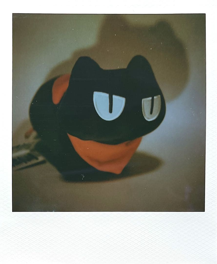整備済・完動品Polaroid SLR680 専門家保証付き