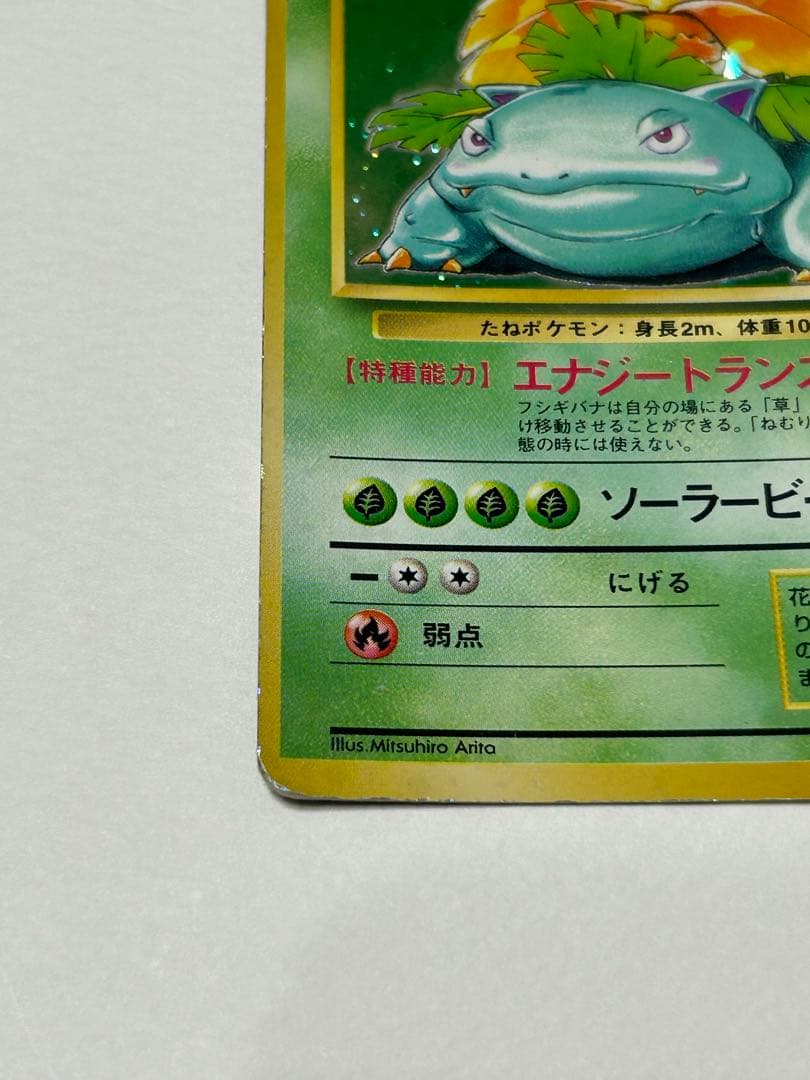 フシギバナ初版旧裏　マークなし