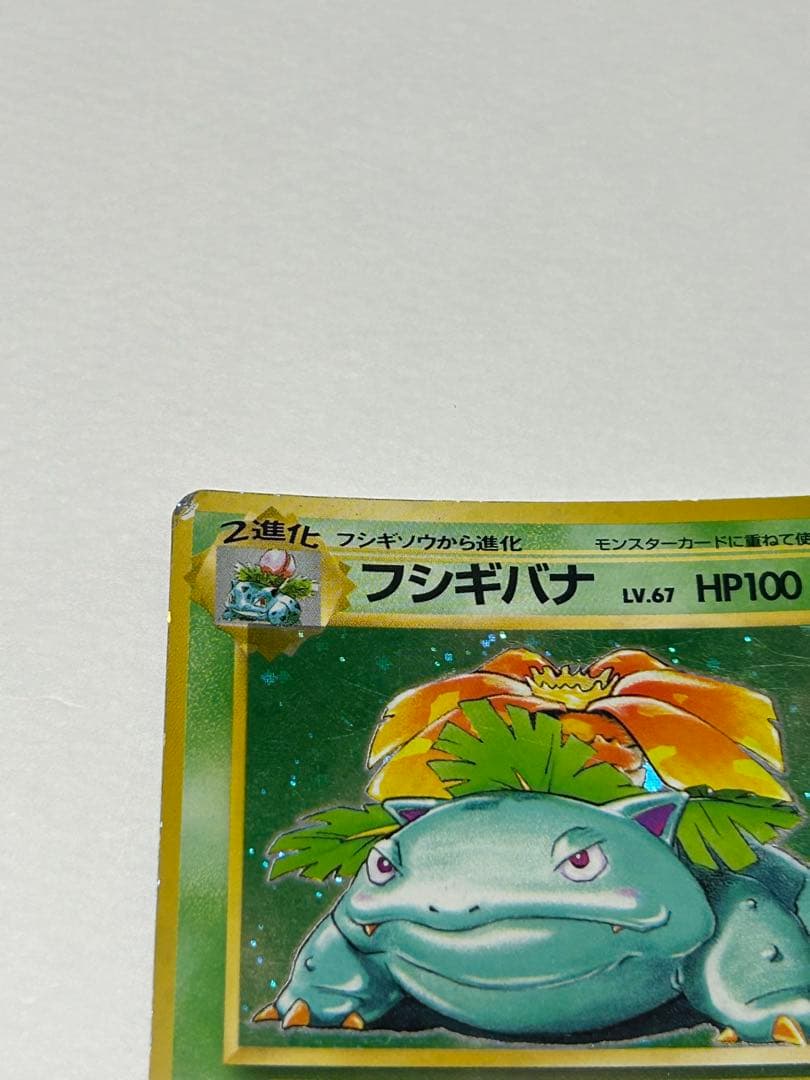 フシギバナ初版旧裏　マークなし