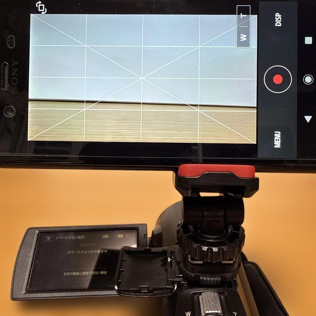 Sony HDR-CX670 動作品＋α