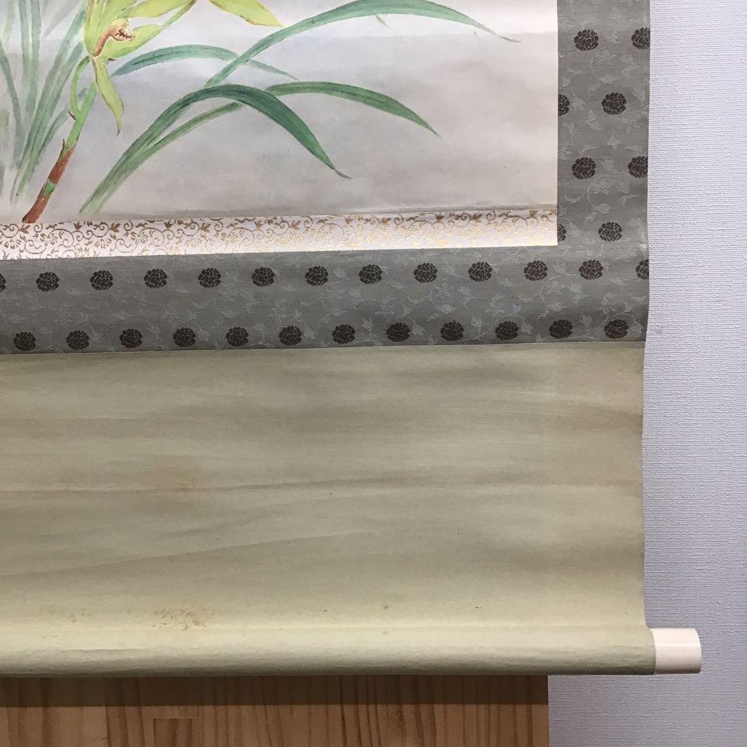 K茶道具　掛軸　「洋蘭の図」　古楊作　共箱　S1007KJ