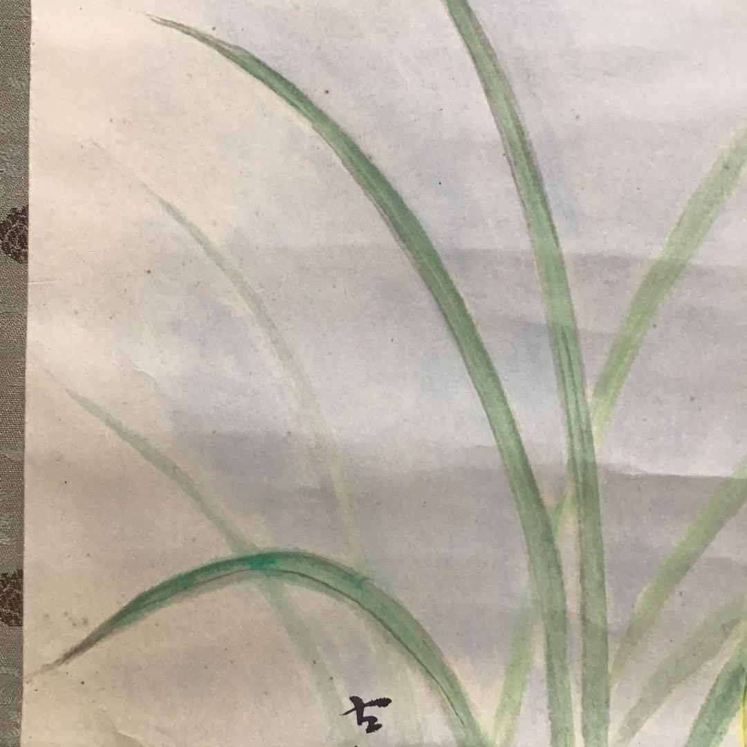 K茶道具　掛軸　「洋蘭の図」　古楊作　共箱　S1007KJ