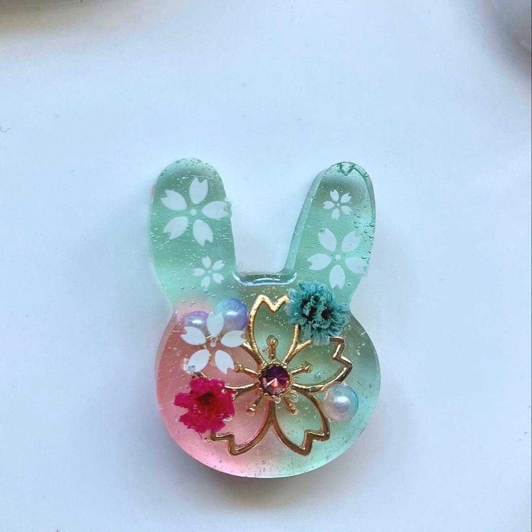 リリィ グリーン＆ブルー◡̈♥︎ ドライフラワー