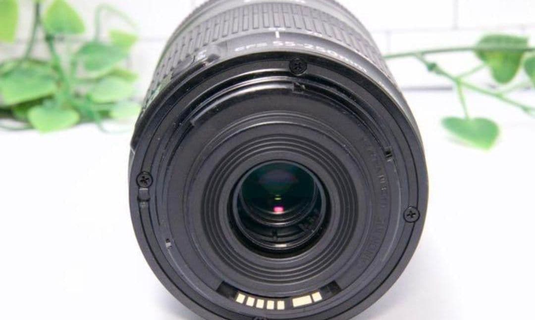 2月24日限定【望遠レンズ】Canon EF-S 55-250mm IS STM