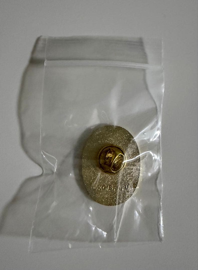 鬼滅の刃　柱展　コレクションピンズ　冨岡義勇