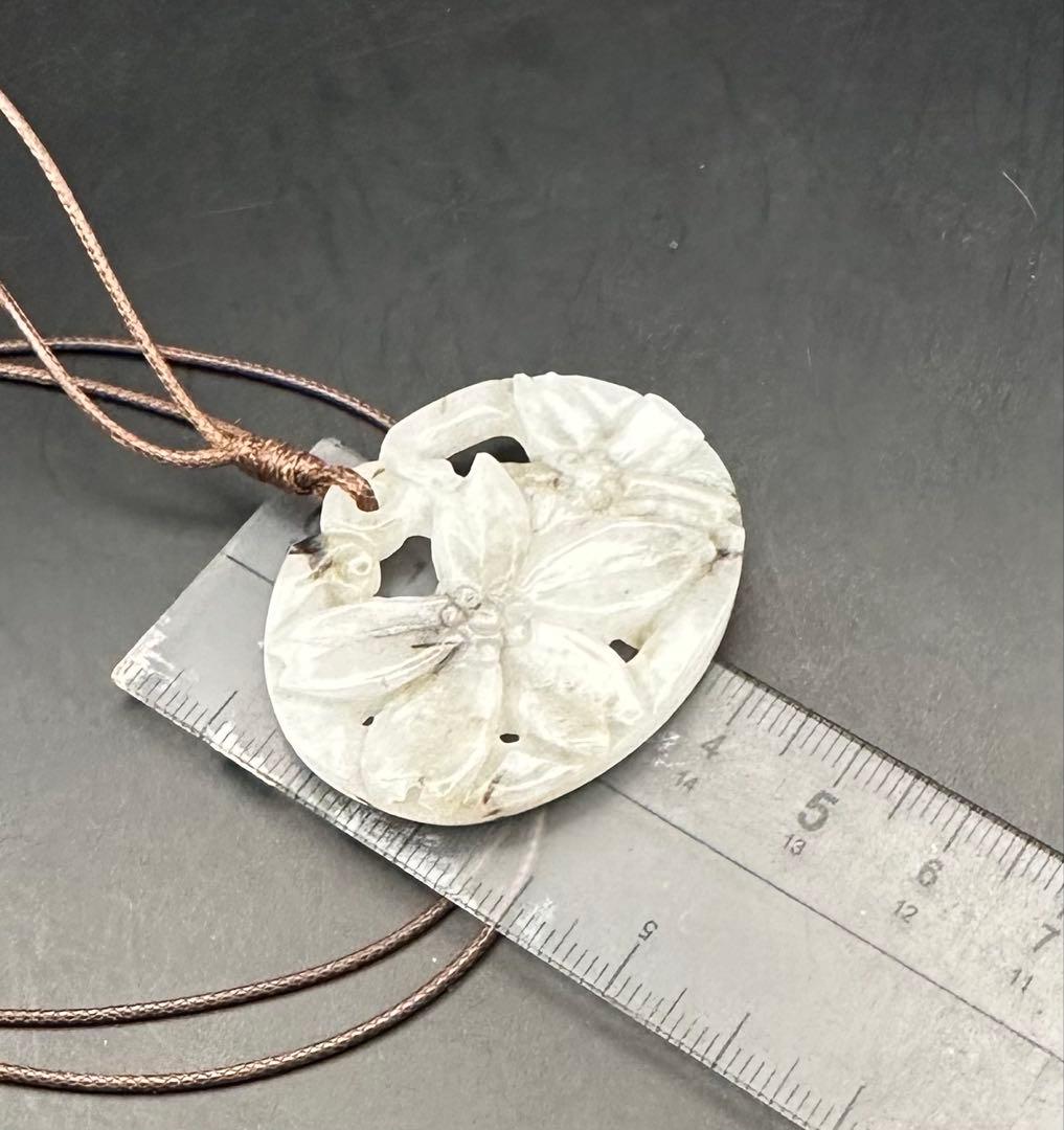 2025.2.4満園春色　桜園