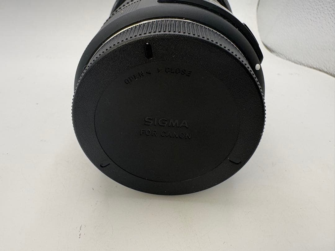 その他 SIGMA 18-300mm F3.5-6.3 DC