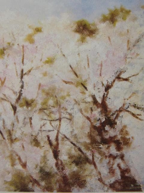 丸山しょうこ、【さくら】、希少な額装用画集より、美品、新品額装付