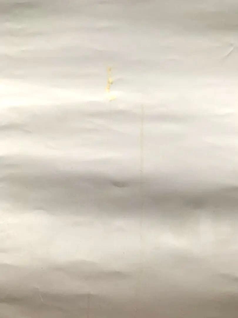 藤井隆　サイン入りポスター