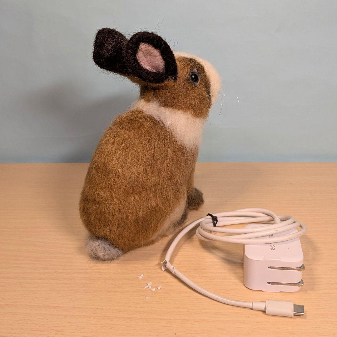 るんるん様オーダー　羊毛フェルト　うさぎ　お座りネザーランドドワーフ確認用