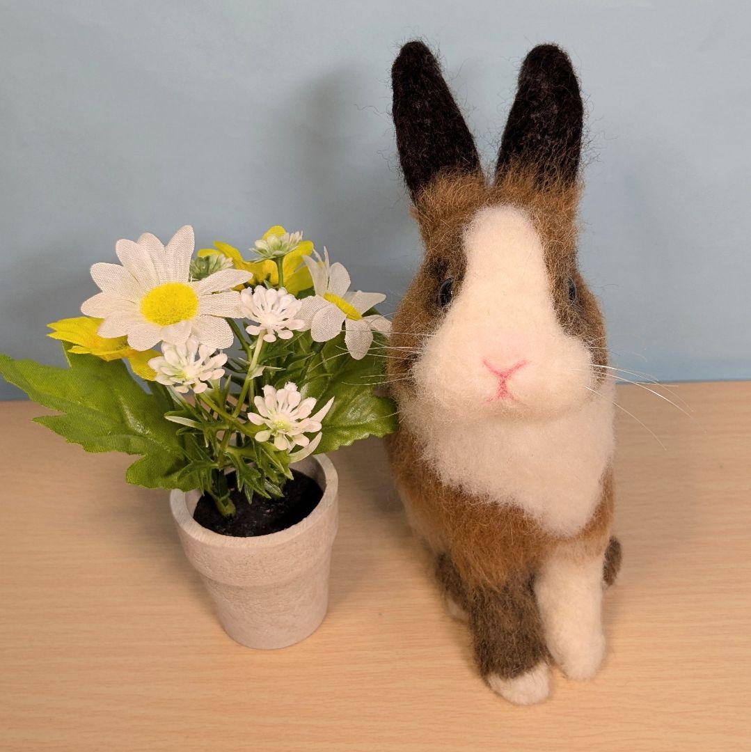 るんるん様オーダー　羊毛フェルト　うさぎ　お座りネザーランドドワーフ確認用