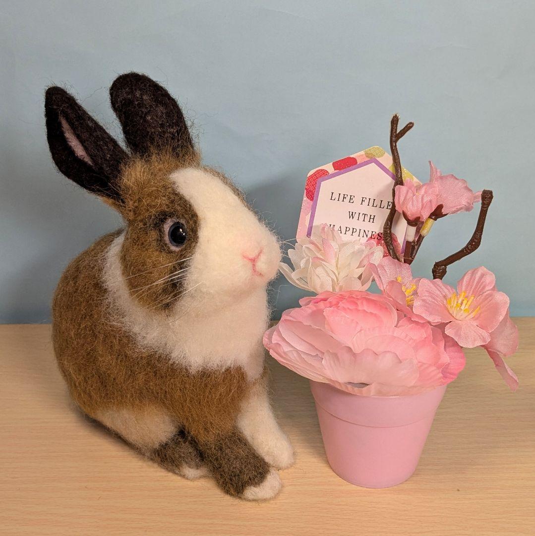 るんるん様オーダー　羊毛フェルト　うさぎ　お座りネザーランドドワーフ確認用