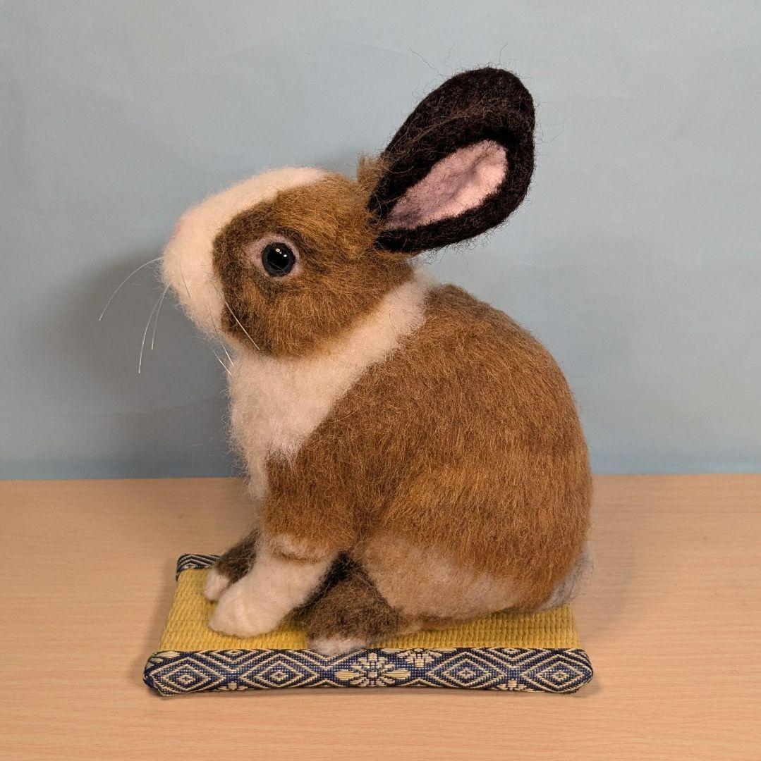 るんるん様オーダー　羊毛フェルト　うさぎ　お座りネザーランドドワーフ確認用