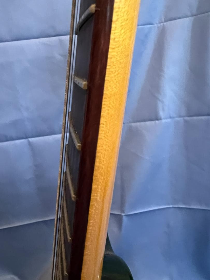 ギター PARKER P-38