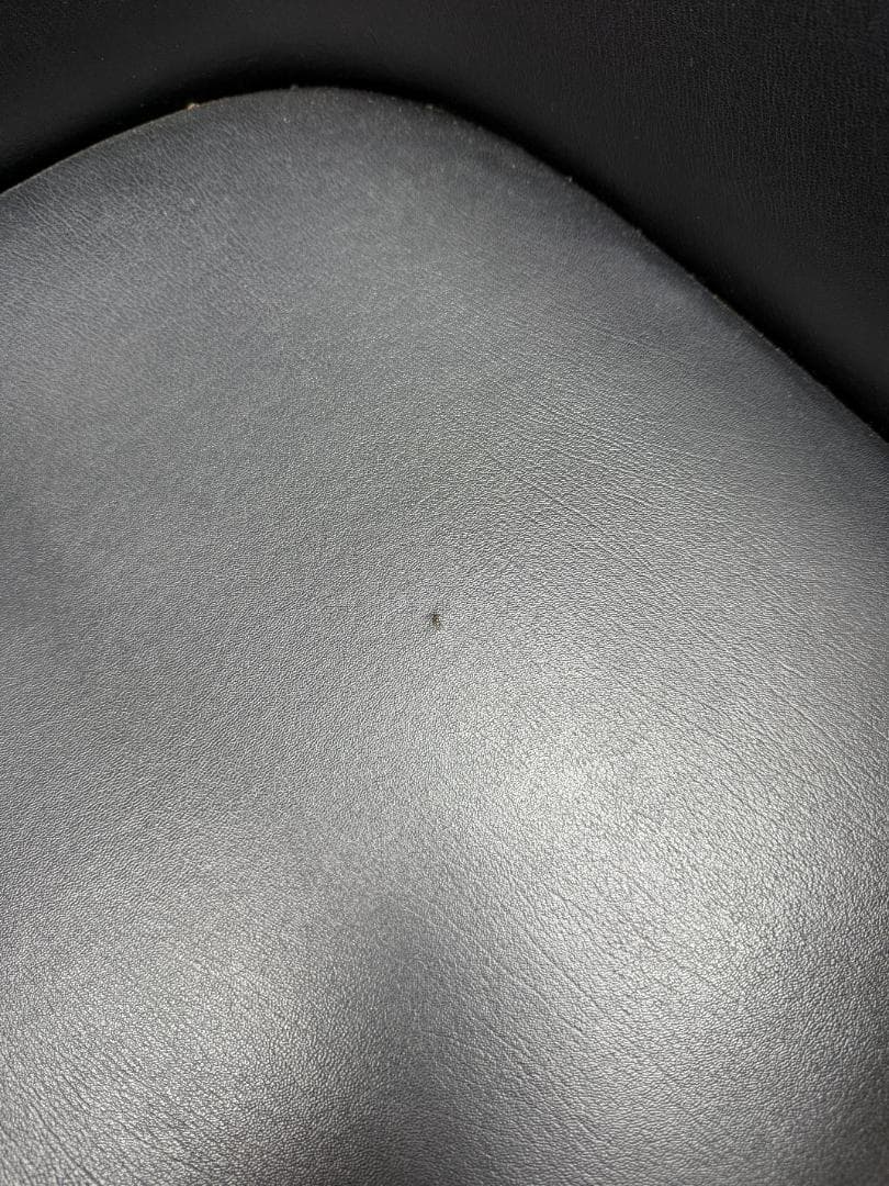 【希少品】イタリア ミラノ Tecno社 P20Chair