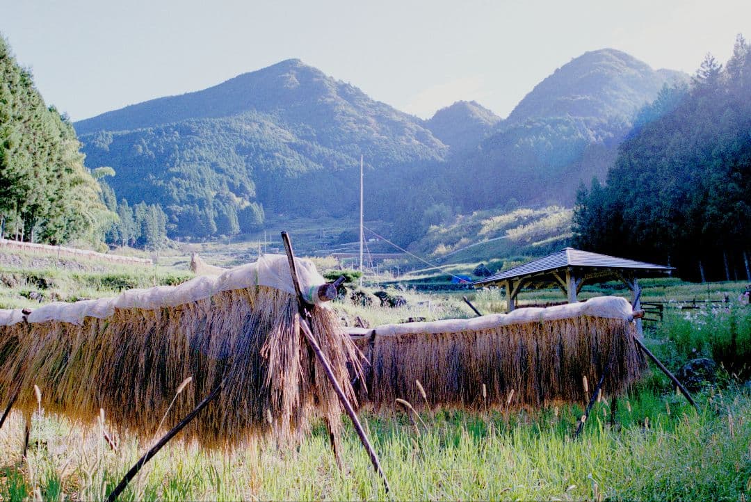 フィルムスキャナ　OpticFilm 135i