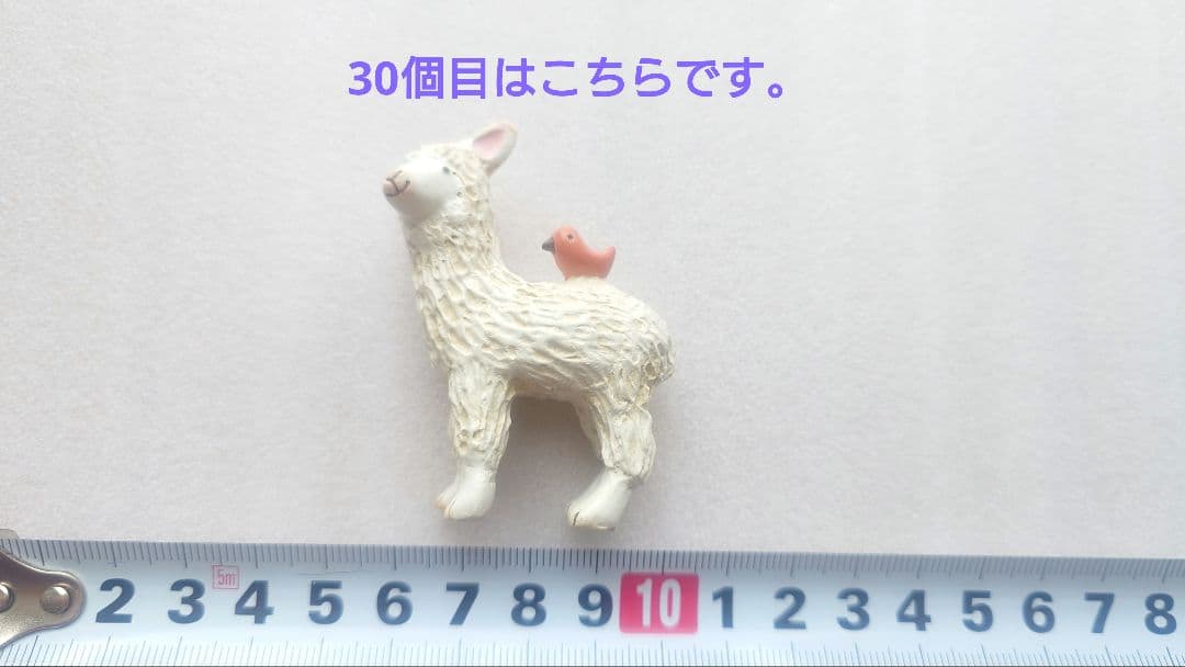 【30個セット！】ノーティーアニマルマスコット