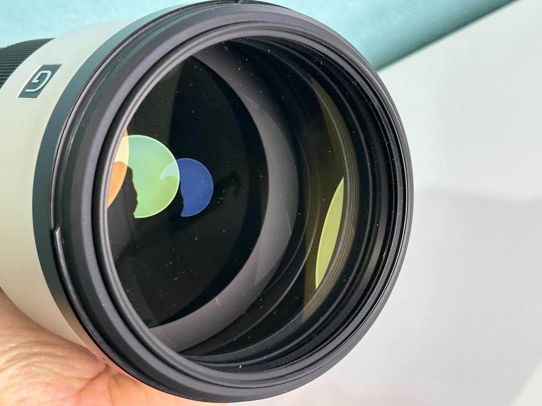 値下げSONY FE 200-600mm F5.6-6.3GSEL200600G