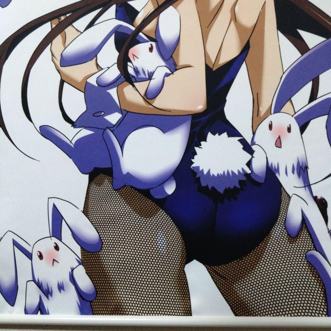 IS インフィニット・ストラトス 鳳鈴音　特大タペストリー　同人