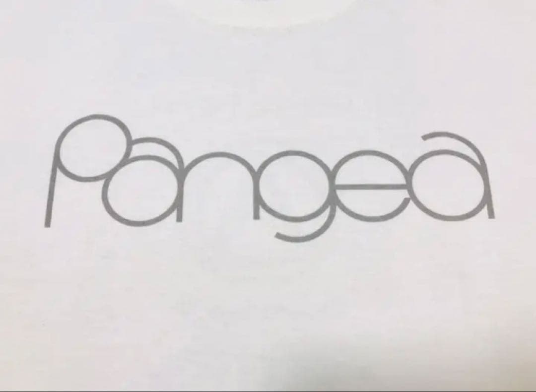 新品Pangeaこけら落とし公演限定Ｔシャツ白 BBQ CHICKENS横山 健