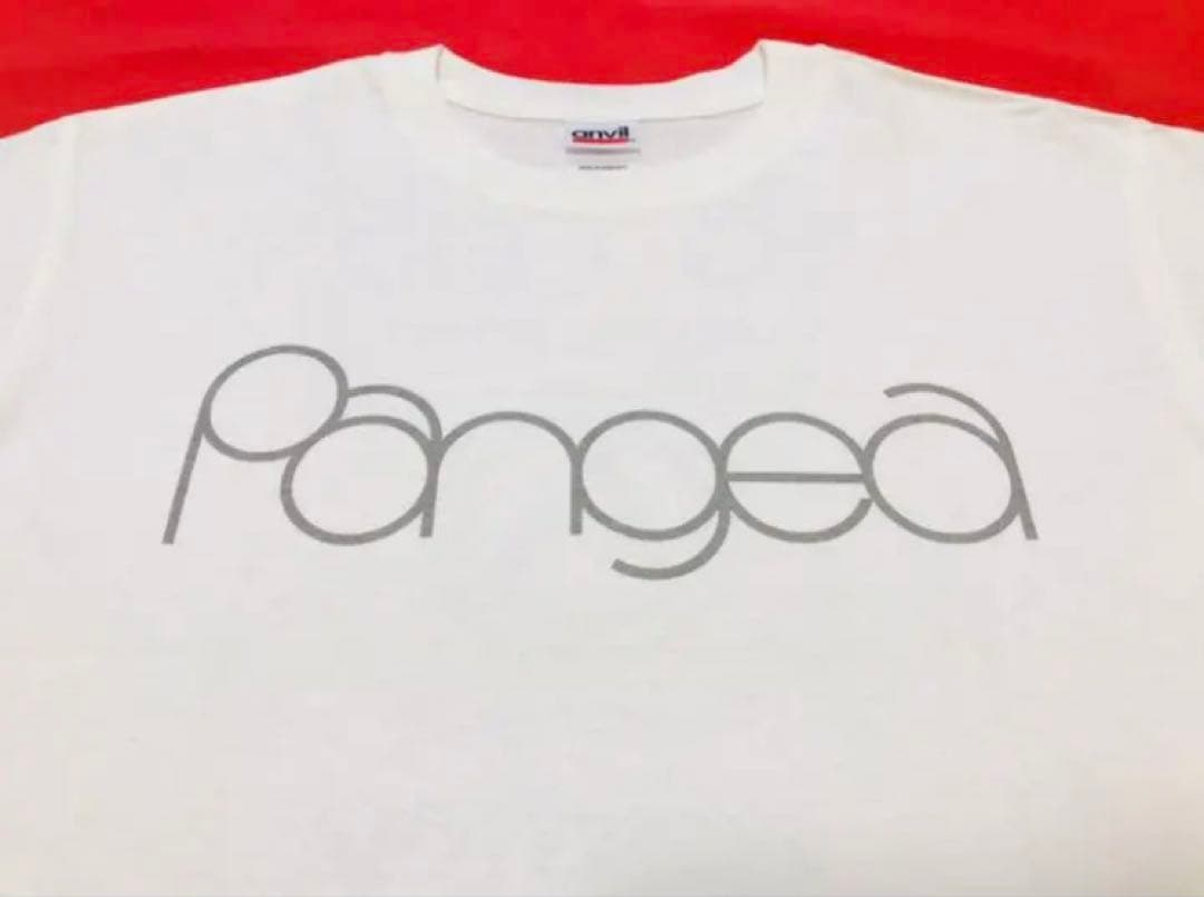新品Pangeaこけら落とし公演限定Ｔシャツ白 BBQ CHICKENS横山 健