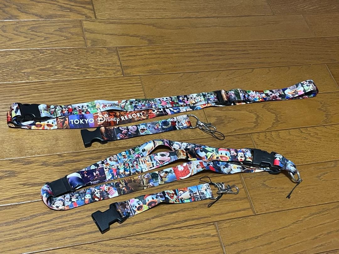 ディズニー　イマジニング　ザ　マジック　ネックストラップ