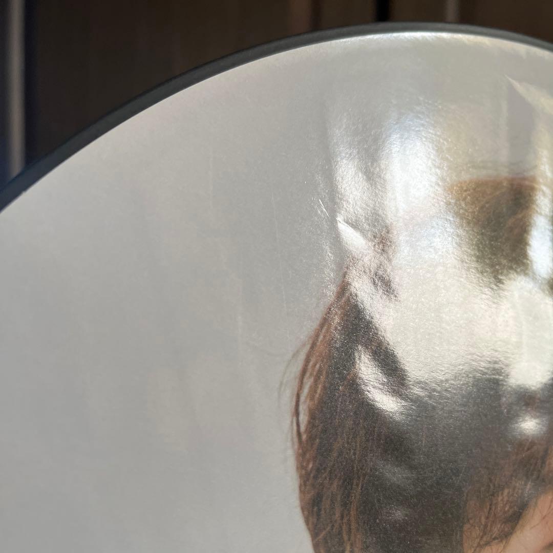 SEVENTEEN セブチ ディノ うちわ　アクスタ　ラバーチャーム　セット