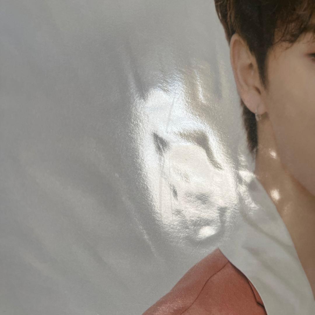 SEVENTEEN セブチ ディノ うちわ　アクスタ　ラバーチャーム　セット