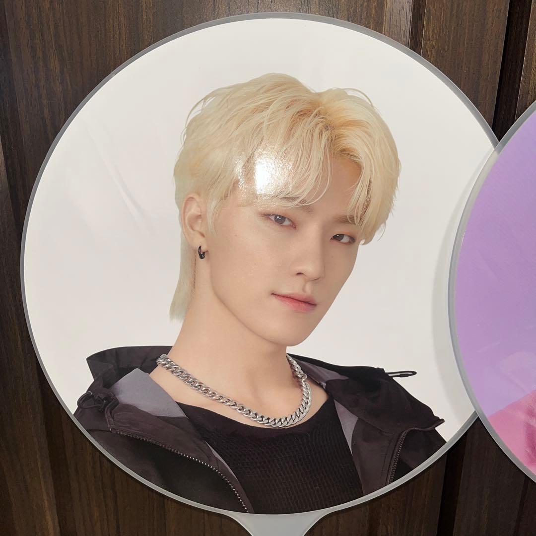 SEVENTEEN セブチ ディノ うちわ　アクスタ　ラバーチャーム　セット