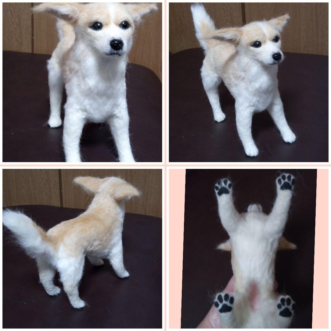 愛犬の羊毛フェルトオーダー・ym．様ご確認専用ページ