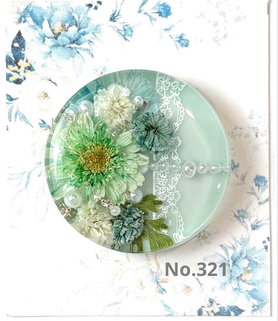 メル30077様　レジンヘアゴム ポニーフック　ドライフラワー　No.321