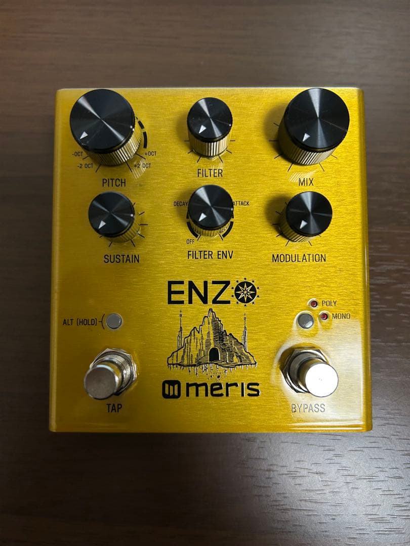 【美品】ENZO / Meris