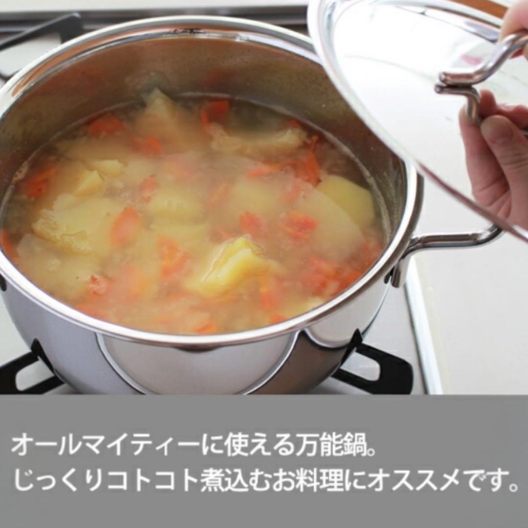 【2025年製】ジオプロダクト 両手鍋 18cm 宮崎製作所 Miyaco