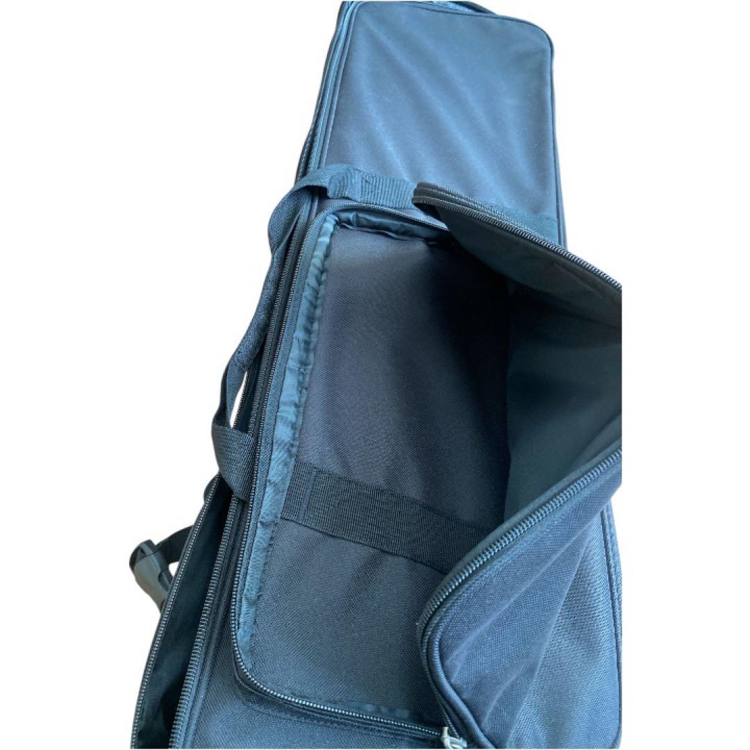 【美品】沖縄 三線 セット 専用ケース・爪付き 送料込み蛇柄　和楽器　蛇柄三線